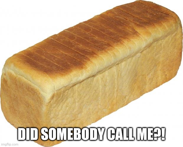 Breadddd | DID SOMEBODY CALL ME?! | image tagged in breadddd | made w/ Imgflip meme maker