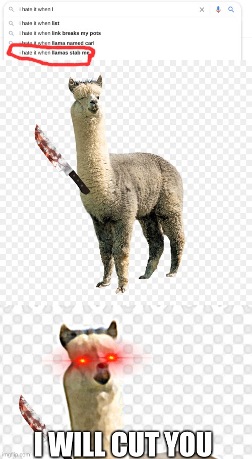 He will haunt the autofill results forever and ever and ever... | I WILL CUT YOU | image tagged in llama | made w/ Imgflip meme maker
