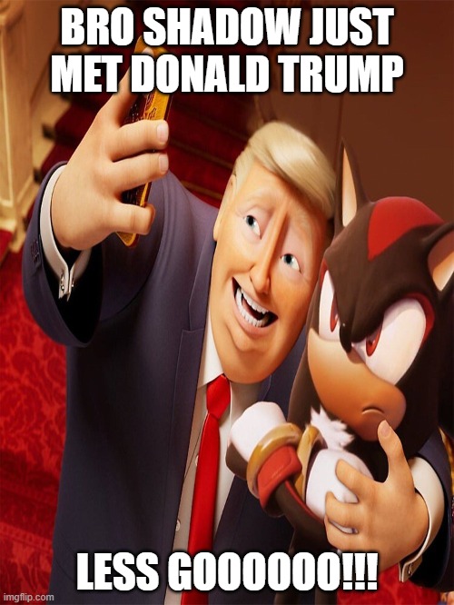 Shadow meets Donald Trump | BRO SHADOW JUST MET DONALD TRUMP; LESS GOOOOOO!!! | image tagged in shadow the hedgehog,donald trump | made w/ Imgflip meme maker
