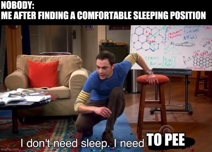 I don't need sleep I need answers | NOBODY:
ME AFTER FINDING A COMFORTABLE SLEEPING POSITION; TO PEE | image tagged in i don't need sleep i need answers | made w/ Imgflip meme maker