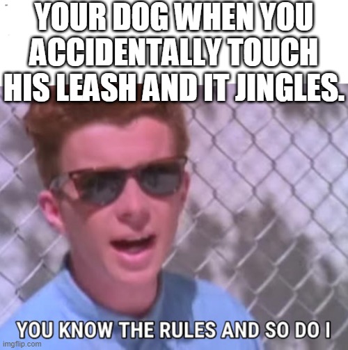 You know the rules | YOUR DOG WHEN YOU ACCIDENTALLY TOUCH HIS LEASH AND IT JINGLES. | image tagged in you know the rules | made w/ Imgflip meme maker
