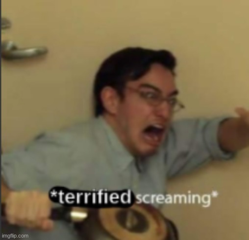 *Terrified Screaming* | image tagged in terrified screaming | made w/ Imgflip meme maker