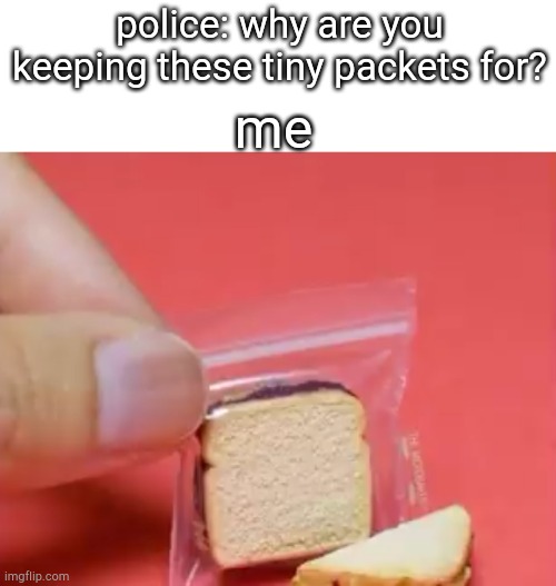 police: why are you keeping these tiny packets for? me | image tagged in tag | made w/ Imgflip meme maker