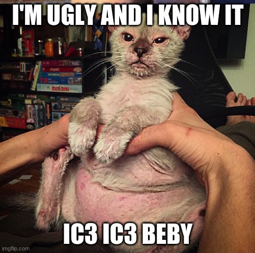 Cat | I'M UGLY AND I KNOW IT; IC3 IC3 BEBY | image tagged in memes | made w/ Imgflip meme maker