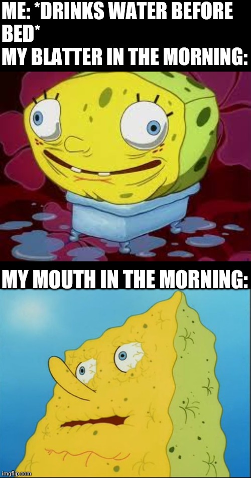 ME: *DRINKS WATER BEFORE
BED*
MY BLATTER IN THE MORNING:; MY MOUTH IN THE MORNING: | image tagged in spongebob - i don't need it by henry-c | made w/ Imgflip meme maker