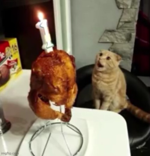 wish a happy birthday to this cat | image tagged in cats,happy birthday | made w/ Imgflip meme maker