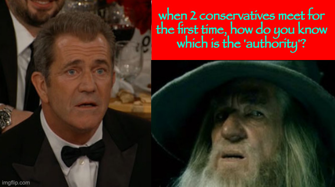 Mel and Gandalf are bad examples.  I mean if neither of you is on TV, how do you know? | when 2 conservatives meet for
the first time, how do you know
which is the 'authority'? | image tagged in memes,conservatives,authority,confused | made w/ Imgflip meme maker