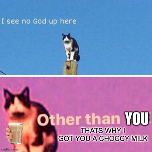 You a good boi have a choccy milk | YOU; THATS WHY I GOT YOU A CHOCCY MILK | image tagged in hail pole cat | made w/ Imgflip meme maker