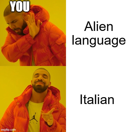 Drake Hotline Bling Meme | Alien language Italian YOU | image tagged in memes,drake hotline bling | made w/ Imgflip meme maker