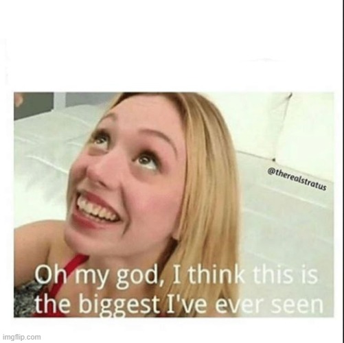 Oh my god, I think this is the biggest I've ever seen | image tagged in oh my god i think this is the biggest i've ever seen | made w/ Imgflip meme maker