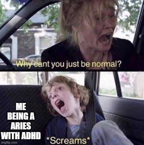 Why Can't You Just Be Normal | ME BEING A ARIES WITH ADHD | image tagged in why can't you just be normal | made w/ Imgflip meme maker