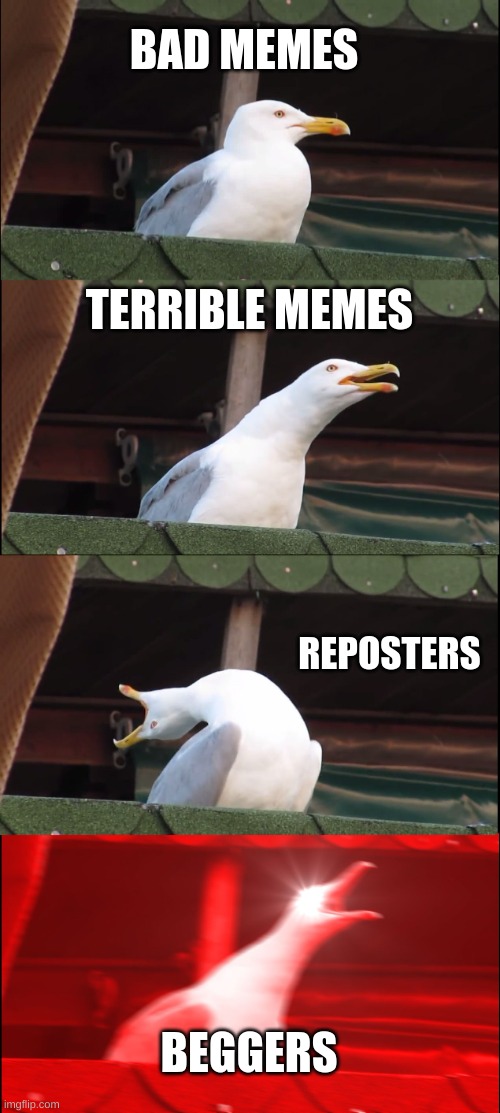 Inhaling Seagull Meme | BAD MEMES; TERRIBLE MEMES; REPOSTERS; BEGGERS | image tagged in memes,inhaling seagull | made w/ Imgflip meme maker