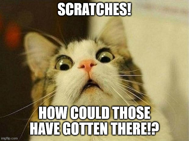 Scared Cat Meme | SCRATCHES! HOW COULD THOSE HAVE GOTTEN THERE!? | image tagged in memes,scared cat | made w/ Imgflip meme maker