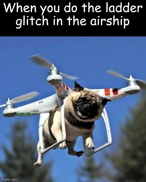 Out of bounds now | When you do the ladder glitch in the airship | image tagged in flying pug,glitch,ladder,meme,among us | made w/ Imgflip meme maker