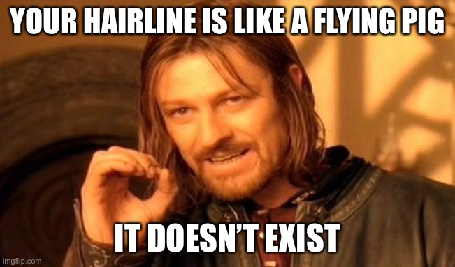 One Does Not Simply | YOUR HAIRLINE IS LIKE A FLYING PIG; IT DOESN’T EXIST | image tagged in memes,one does not simply | made w/ Imgflip meme maker