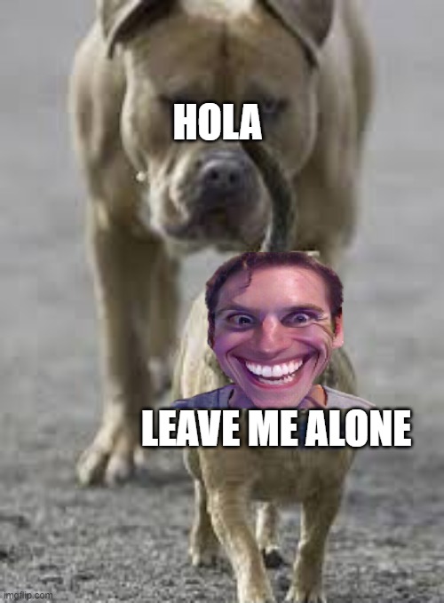 Fudge cakes and Brownies | HOLA; LEAVE ME ALONE | image tagged in 2 dogs | made w/ Imgflip meme maker