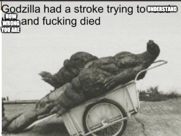 Godzilla | UNDERSTAND HOW WRONG YOU ARE | image tagged in godzilla | made w/ Imgflip meme maker