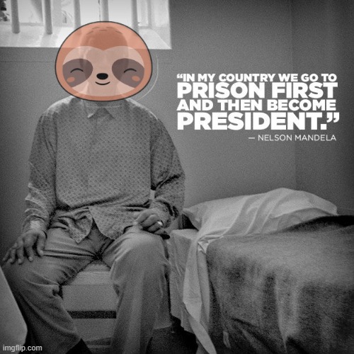 v rare self-cringe | image tagged in nelson mandela prison quote,sloth,nelson mandela,prison,president,famous quotes | made w/ Imgflip meme maker