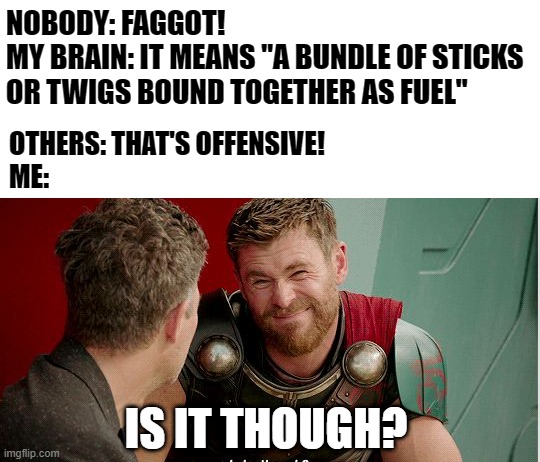 I'll have you know! I am most certainly, NOT a bundle of sticks! T_T | NOBODY: FAGGOT!
MY BRAIN: IT MEANS "A BUNDLE OF STICKS OR TWIGS BOUND TOGETHER AS FUEL"; OTHERS: THAT'S OFFENSIVE!
ME:; IS IT THOUGH? | image tagged in thor is he though,lgbt,faggot,it isn't really offensive | made w/ Imgflip meme maker