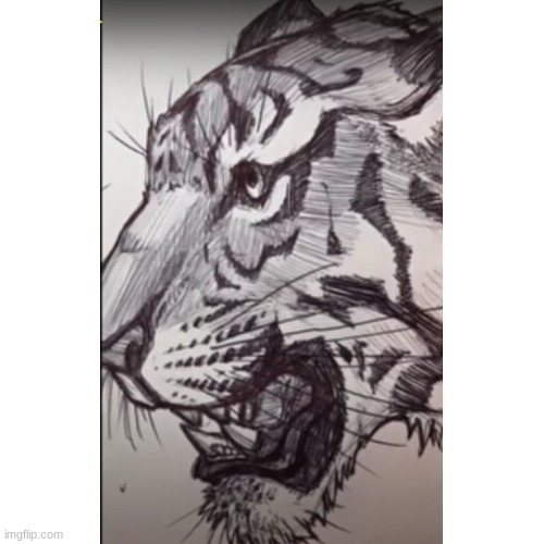 This isn't my art, but i thought it belonged in here | image tagged in art,drawing,tiger | made w/ Imgflip meme maker