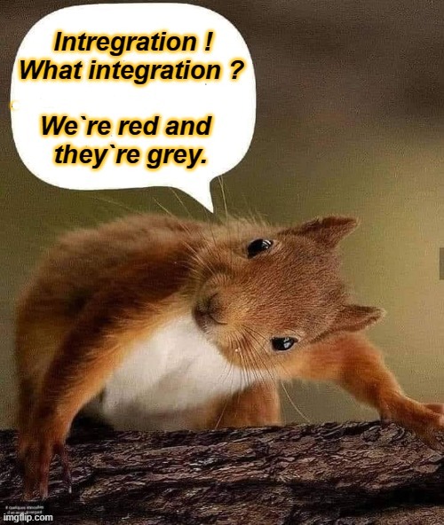 Integration !  What integration ? | image tagged in keep calm and carry on red | made w/ Imgflip meme maker