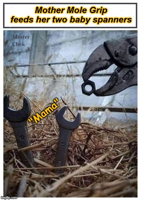 Mother Mole Grip feeds her two baby spanners. | image tagged in tools | made w/ Imgflip meme maker