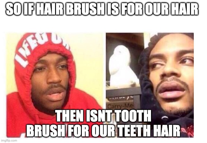 wierd | SO IF HAIR BRUSH IS FOR OUR HAIR; THEN ISNT TOOTH BRUSH FOR OUR TEETH HAIR | image tagged in hits blunt,facts | made w/ Imgflip meme maker