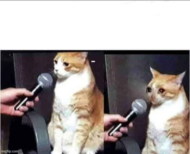 sad cat interview | image tagged in sad cat interview | made w/ Imgflip meme maker