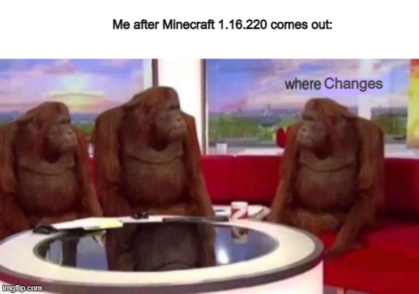 hmmmmmmmmmmmmmmmmmmmmmmmmmmmmmmm | Me after Minecraft 1.16.220 comes out:; Changes | made w/ Imgflip meme maker