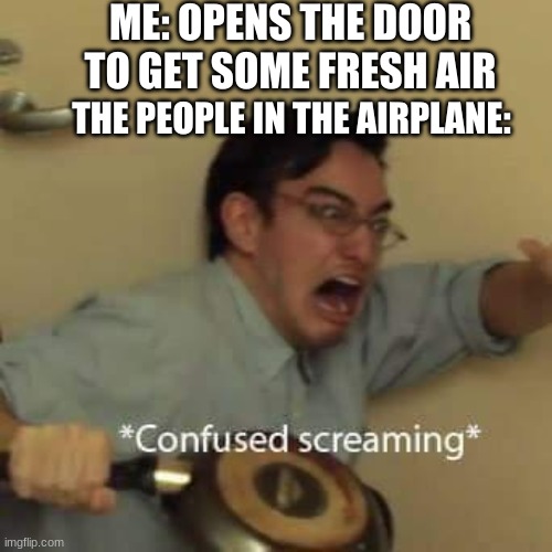 oh no.... | ME: OPENS THE DOOR TO GET SOME FRESH AIR; THE PEOPLE IN THE AIRPLANE: | image tagged in filthy frank confused scream | made w/ Imgflip meme maker