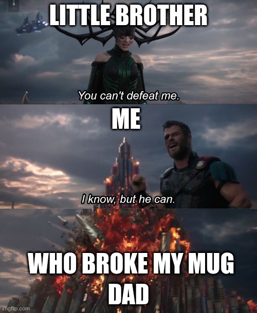 I know, but he can | LITTLE BROTHER; ME; WHO BROKE MY MUG; DAD | image tagged in i know but he can | made w/ Imgflip meme maker