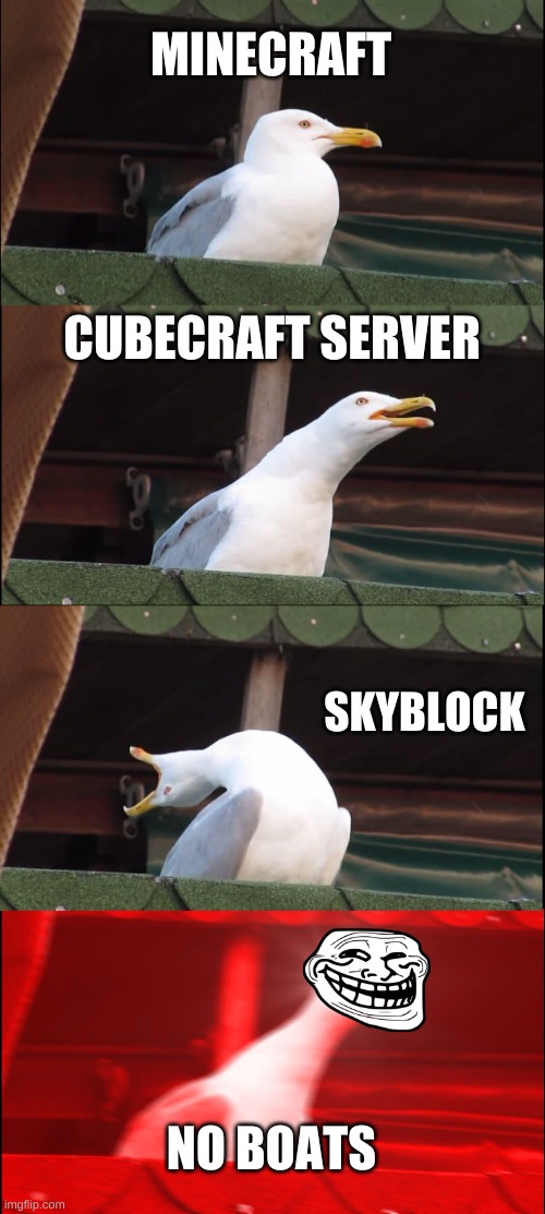 Inhaling Seagull Meme | MINECRAFT; CUBECRAFT SERVER; SKYBLOCK; NO BOATS | image tagged in memes,inhaling seagull | made w/ Imgflip meme maker