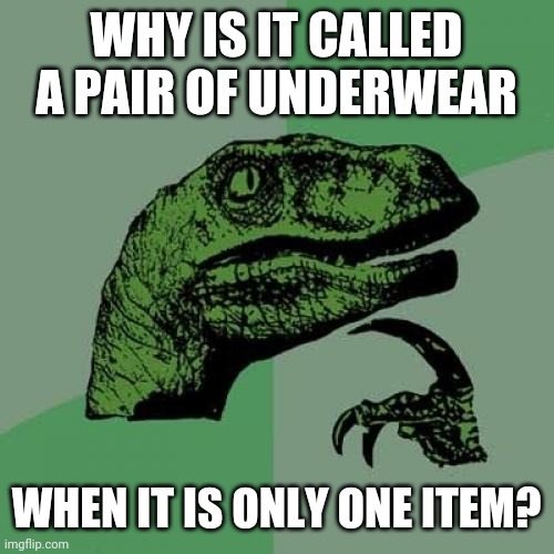 Philosoraptor | WHY IS IT CALLED A PAIR OF UNDERWEAR; WHEN IT IS ONLY ONE ITEM? | image tagged in memes,philosoraptor,clothes,thoughts | made w/ Imgflip meme maker