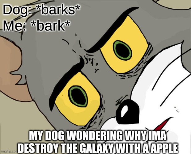 Unsettled Tom | Dog: *barks*; Me: *bark*; MY DOG WONDERING WHY IMA DESTROY THE GALAXY WITH A APPLE | image tagged in memes,unsettled tom | made w/ Imgflip meme maker