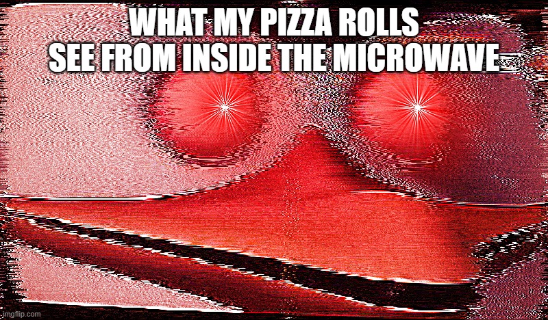 horror penguin | WHAT MY PIZZA ROLLS SEE FROM INSIDE THE MICROWAVE | image tagged in horror penguin | made w/ Imgflip meme maker