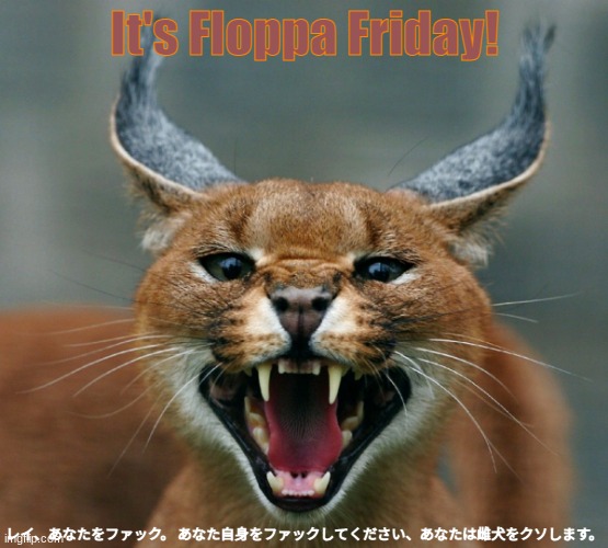 Floppa Friday (happy friday) | It's Floppa Friday! レイ、あなたをファック。 あなた自身をファックしてください、あなたは雌犬をクソします。 | image tagged in floppa hissing | made w/ Imgflip meme maker