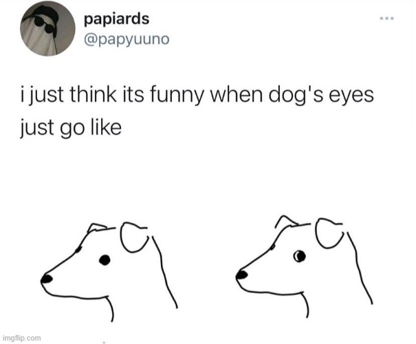 [so adorbs] | image tagged in repost,dogs,funny dogs,reposts,twitter,eyes | made w/ Imgflip meme maker