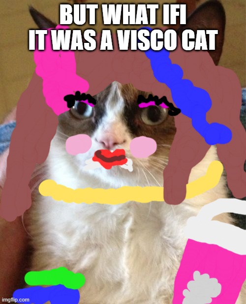 Grumpy Cat | BUT WHAT IFI IT WAS A VISCO CAT | image tagged in memes,grumpy cat | made w/ Imgflip meme maker