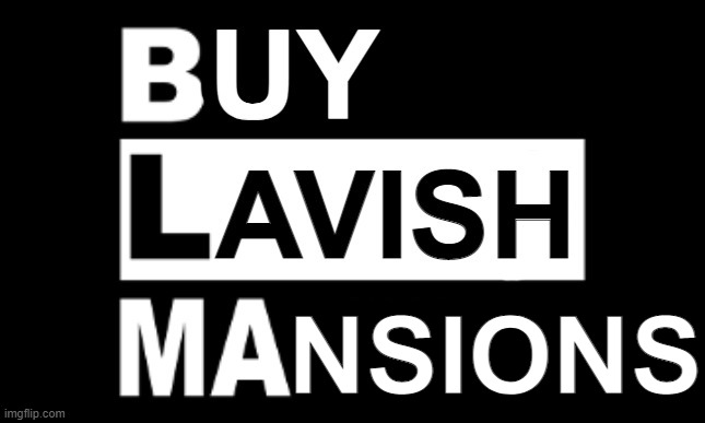 BLM founder buys 5 mansions in white neighbourhoods with laundered money | NSIONS | image tagged in blm,chameleon | made w/ Imgflip meme maker