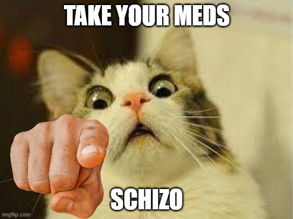 TAKE YOUR MEDS; SCHIZO | made w/ Imgflip meme maker