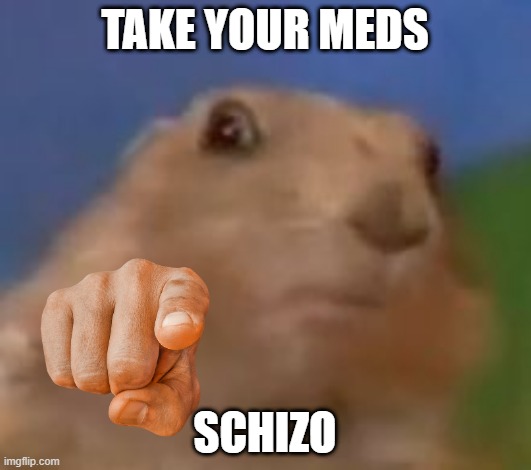 TAKE YOUR MEDS; SCHIZO | made w/ Imgflip meme maker