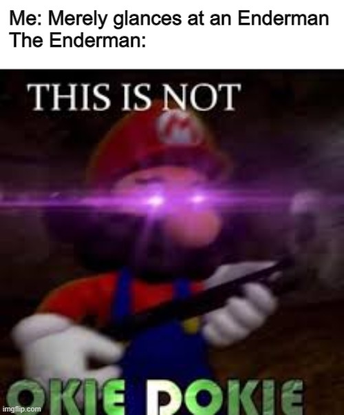 Minecraft meem |  Me: Merely glances at an Enderman
The Enderman: | image tagged in this is not okie dokie,minecraft | made w/ Imgflip meme maker
