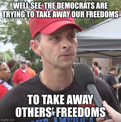 A trans or gay person existing doesn’t affect your daily life. | WELL SEE, THE DEMOCRATS ARE TRYING TO TAKE AWAY OUR FREEDOMS; TO TAKE AWAY OTHERS’ FREEDOMS | image tagged in trump supporter | made w/ Imgflip meme maker