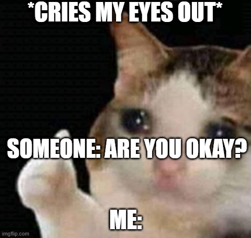 If this isn't true for you you are LYING! | *CRIES MY EYES OUT*; SOMEONE: ARE YOU OKAY? ME: | image tagged in sad thumbs up cat | made w/ Imgflip meme maker