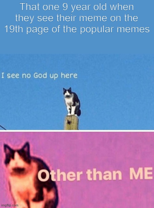 Image Title | That one 9 year old when they see their meme on the 19th page of the popular memes | image tagged in hail pole cat | made w/ Imgflip meme maker