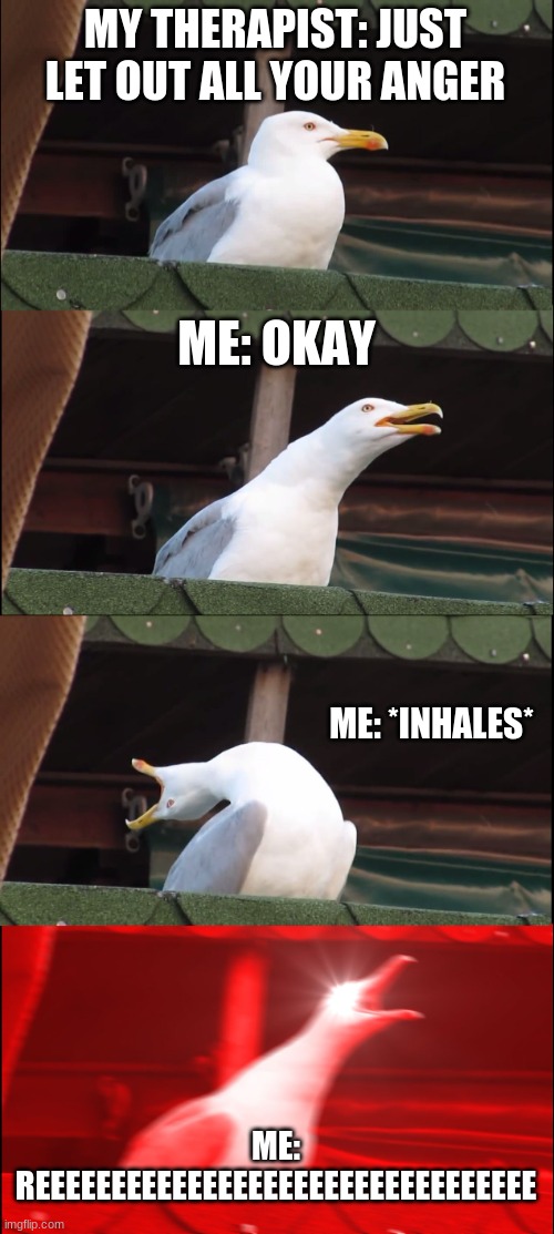 Inhaling Seagull | MY THERAPIST: JUST LET OUT ALL YOUR ANGER; ME: OKAY; ME: *INHALES*; ME: REEEEEEEEEEEEEEEEEEEEEEEEEEEEEEEEE | image tagged in memes,inhaling seagull | made w/ Imgflip meme maker