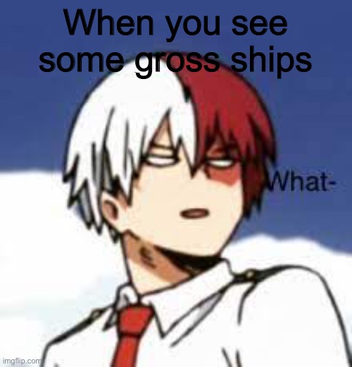 New Todoroki template! -3- | When you see some gross ships | image tagged in todoroki what | made w/ Imgflip meme maker