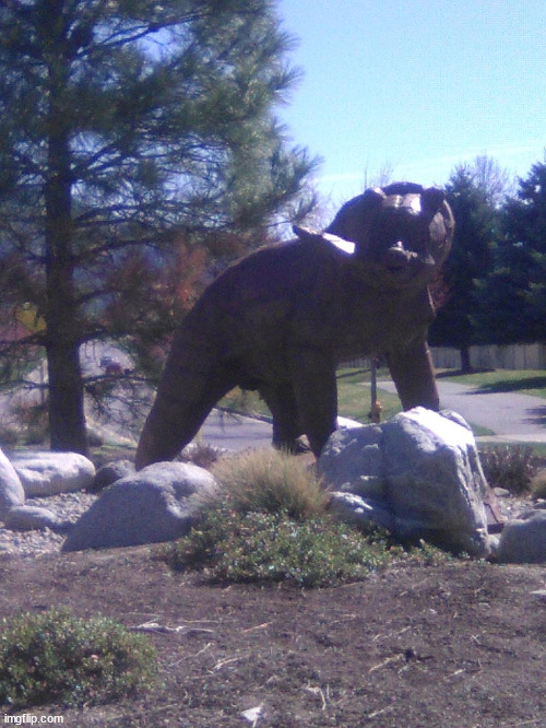 Bear statue | image tagged in pictures | made w/ Imgflip meme maker