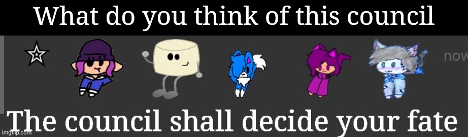 The council shall decide your fate | What do you think of this council | image tagged in the council shall decide your fate | made w/ Imgflip meme maker