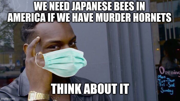 if merica has murder hornets then | WE NEED JAPANESE BEES IN AMERICA IF WE HAVE MURDER HORNETS; THINK ABOUT IT | image tagged in memes,roll safe think about it | made w/ Imgflip meme maker